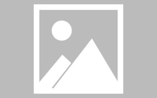 保亭网页设计英文默认字体（网页设置英文转换中文）
